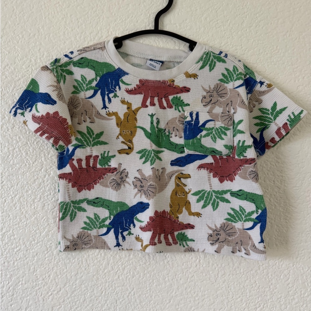 Matching Dinosaur Set - Picture 2 of 11